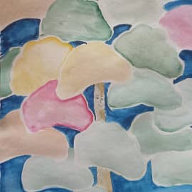 Дерево, 27.04.2023. День независимости Якутии