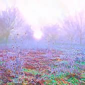 На рассвете.