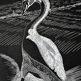 Графика и рисунок