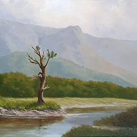 Новое лето для старого дерева.