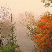 Букет в тумане.