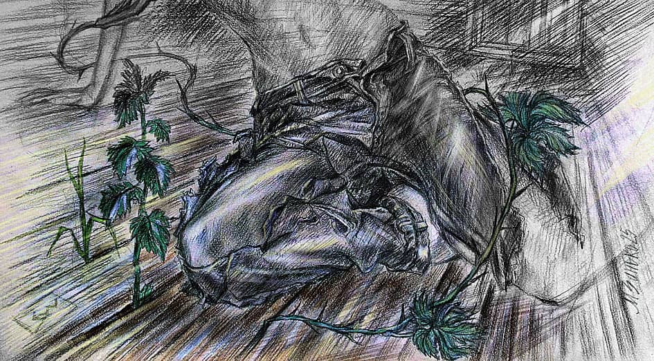 СОН ("а") серия "Сны столетнего дома"