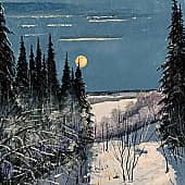 Лунная ночь на Вычегде