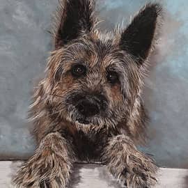 Пушистик Граф