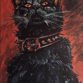 Кот Ассасина