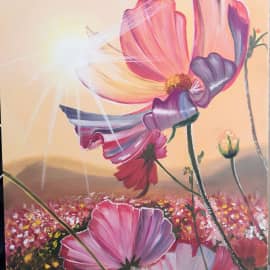 Космеи на закате