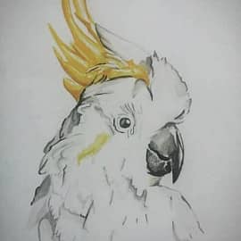 Иннокентий