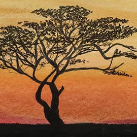 Дерево Африки
