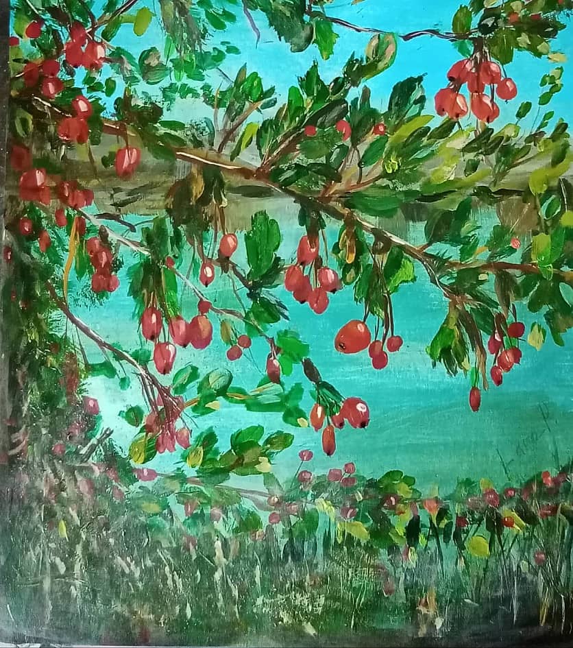 Ветка боярошника