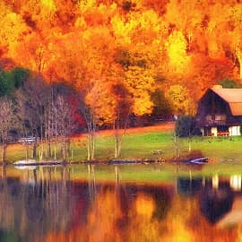 В окружении осени.