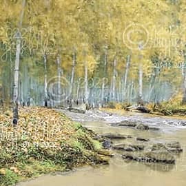 Полдень в осеннем берёзовом лесу