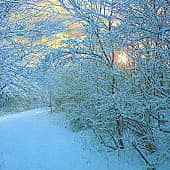 Утро нового дня.