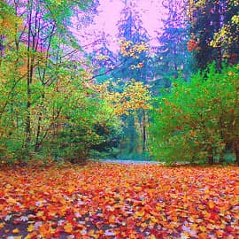 осень в парке