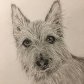 Портрет Двортерьера