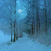 Морозная ночь.