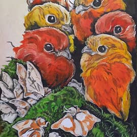 Сон о птицах.Прятки.