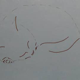 Сонное царство