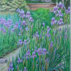 Ирисовый сад