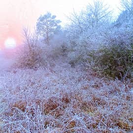 Морозный рассвет.