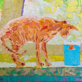 Кот и золотая рыбка