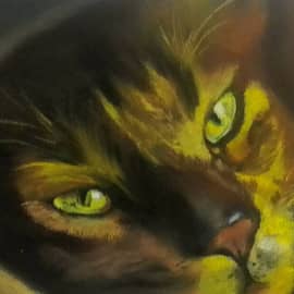 "Диогену только снится"