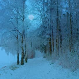 Морозная ночь.