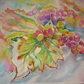 Акварельный виноград.