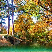 Сосны на берегу.