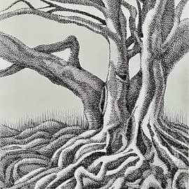 Корни. Скетч.