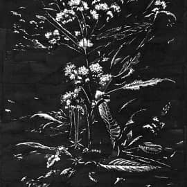 В уголке сада  In the Corner of the Garden