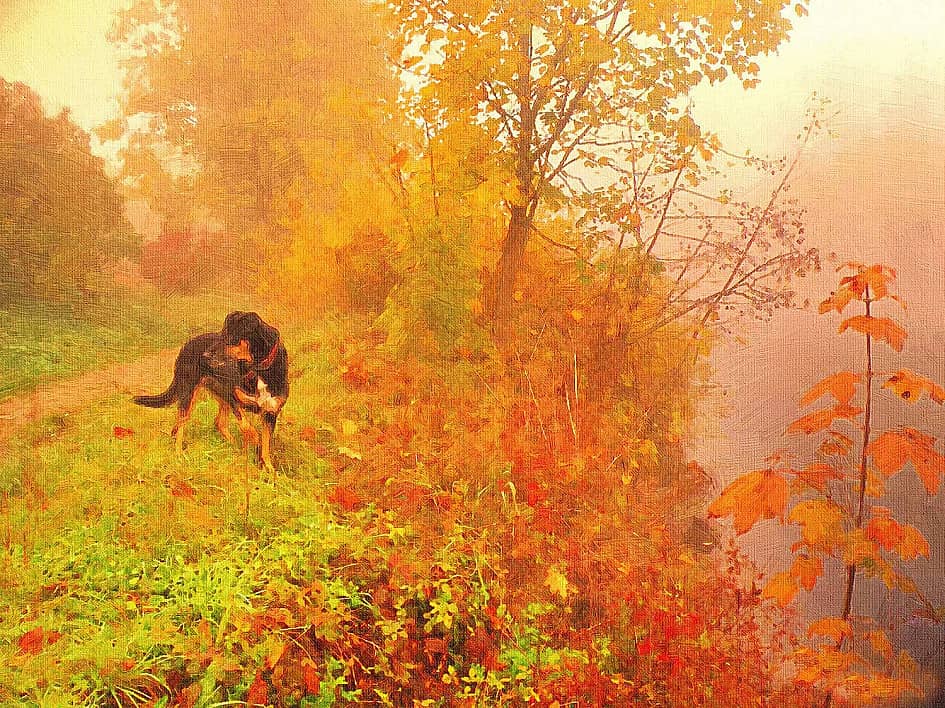 Портрет в профиль.