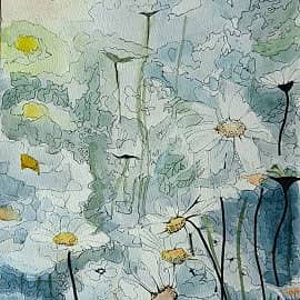 Ромашки белые