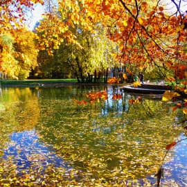 Осенний пруд.