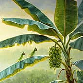 Лиза Рэй - Тропический сад 1, художник Лиза Рэй