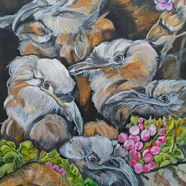 Зоопарк.Цапельки.