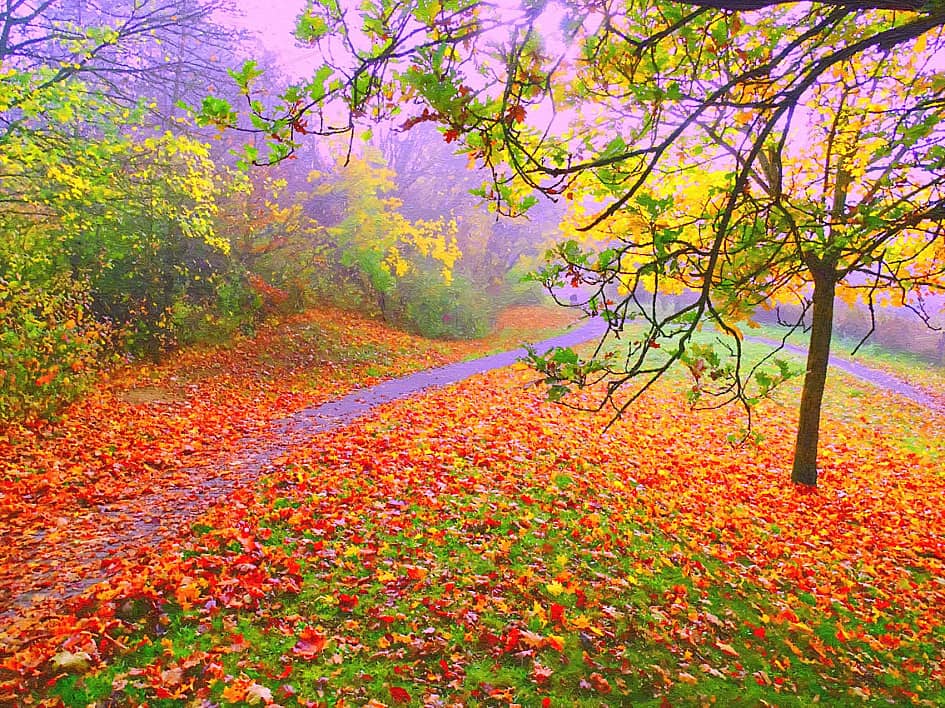 По тропинке в осень.