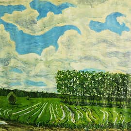 МОКРЫЙ СЕНОКОС.