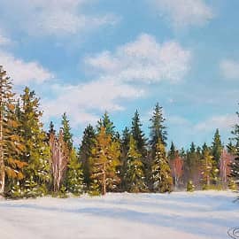 В преддверии весны. Плесецк, Архангельская область