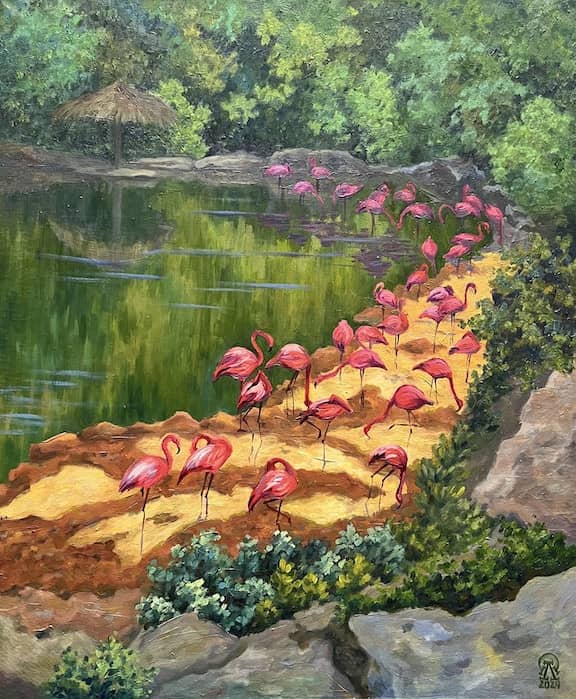 Парк фламинго
