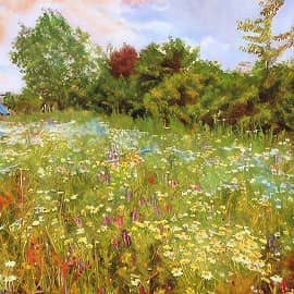 Поляна цветов.