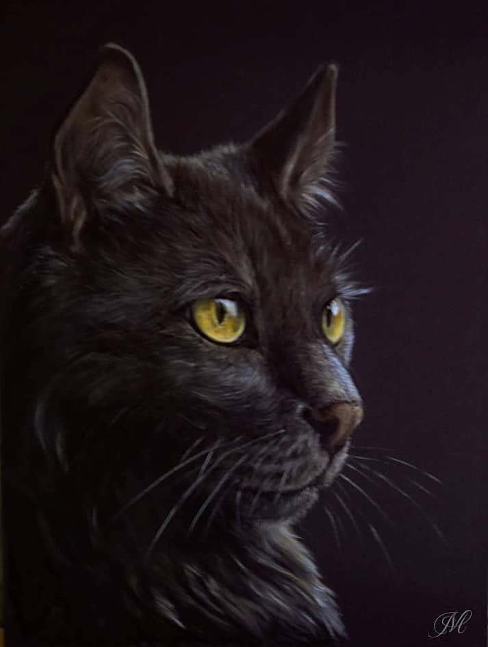 Жил да был Чёрный кот