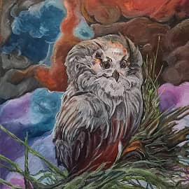 Сова- тревога