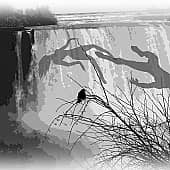 Несовпадение