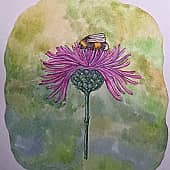 Пчелка на цветке