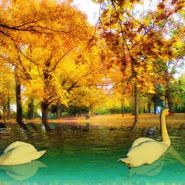 В городском парке.