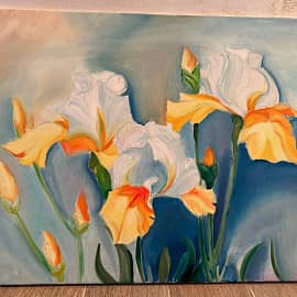 Ирисы