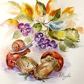 Грибы, ягоды