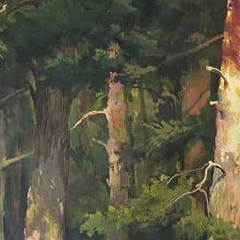 Сосновая роща