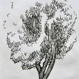 Зарисовка дерева. Пленэр г.Истра