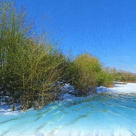 Весенние этюды-1